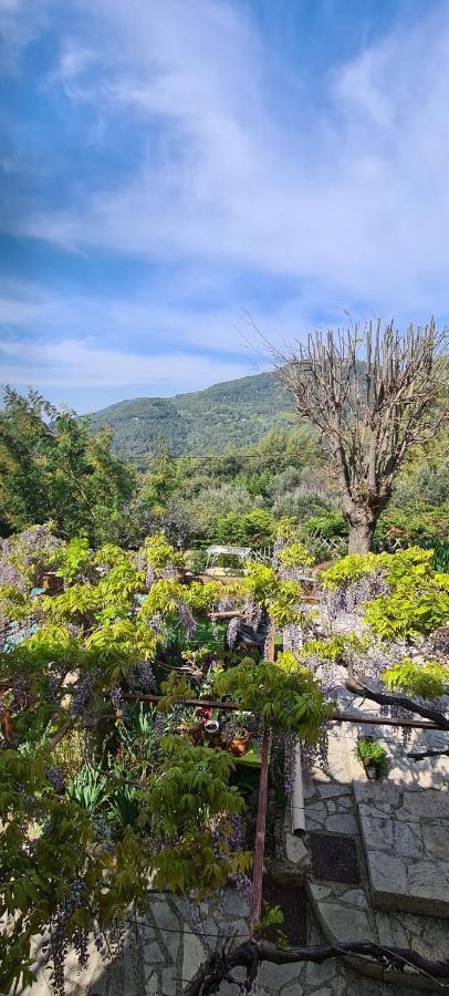Studio De Charme + Terrasse : Verdon, Lac, Plages Claviers 外观 照片